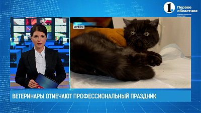 Ветеринары отмечают профессиональный праздник