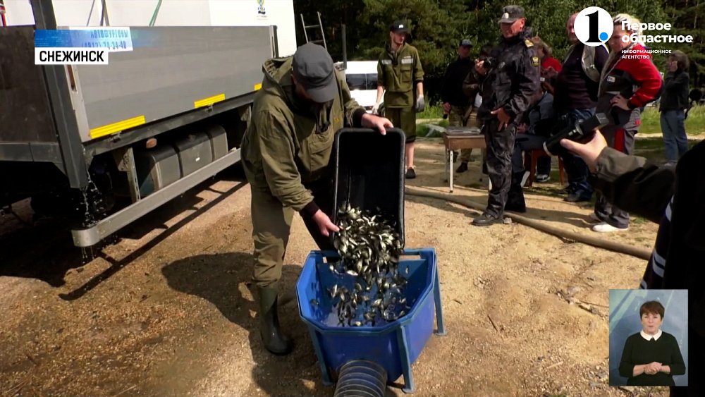 В Синару запустили 90 тысяч молодых особей сазана