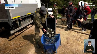 В Синару запустили 90 тысяч молодых особей сазана