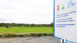 Челябинск планирует вывести озеленение города на новый уровень