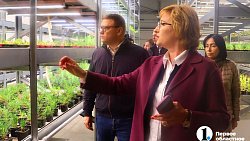 Челябинск планирует вывести озеленение города на новый уровень