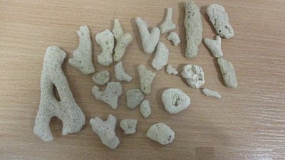 Таможенники остановили челябинку с 25 кораллами из Дубая