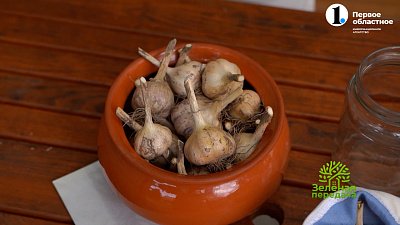 ТОП-5 способов хранения чеснока