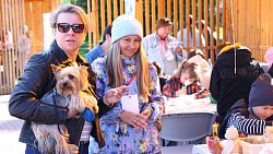 В Челябинске проходит первый гастрономический фестиваль «Блюда от верблюда»