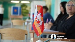 Почти 600 тысяч южноуральцев проголосовали на выборах губернатора
