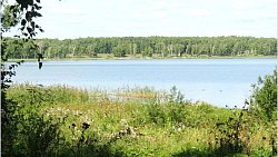 В Увельском районе появилась экотропа с парковкой и площадкой для мусора