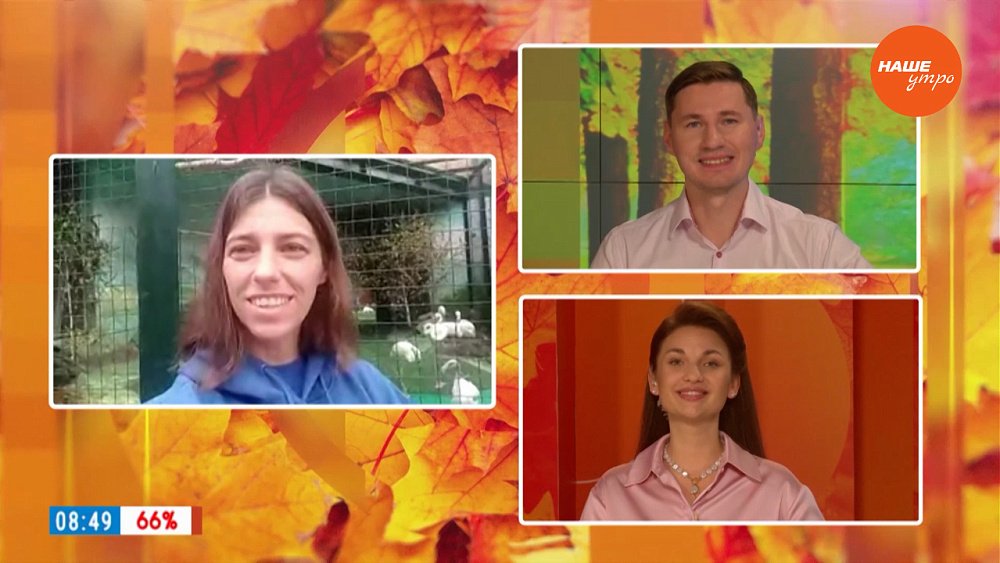 Почему ведущим захотелось спеть: «Розовый фламинго — дитя заката…»? — Гость на связи