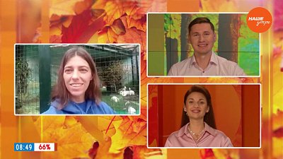 Почему ведущим захотелось спеть: «Розовый фламинго — дитя заката…»? — Гость на связи