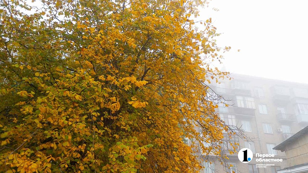 Синоптики прогнозируют дожди и туманы в Челябинской области