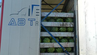 Челябинские таможенники вернули в Казахстан 80 тонн арбузов и дынь