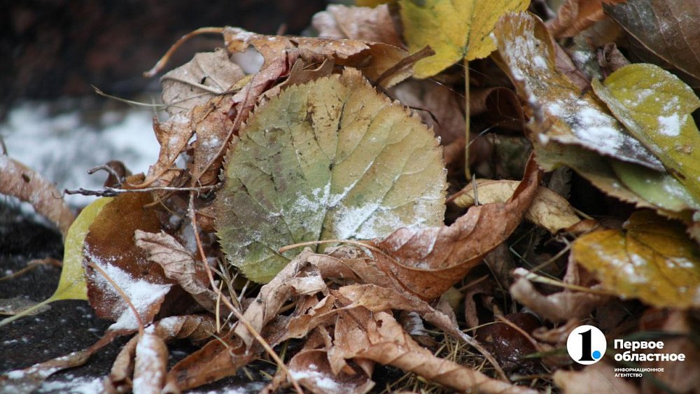 В Челябинской области 13 сентября ожидаются заморозки