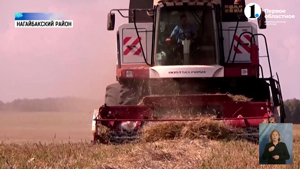 В селе Париж собирают урожай