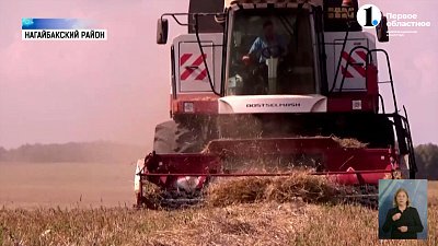 В селе Париж собирают урожай