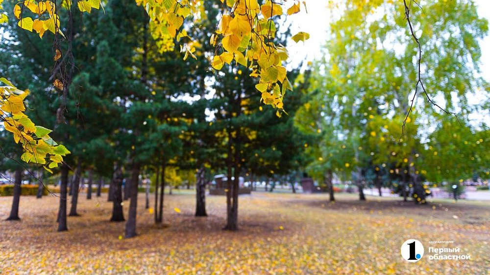 Тепло до +23 градусов сохранится в Челябинской области 14 сентября