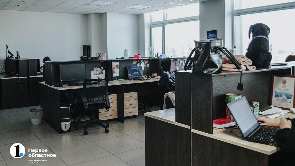 Как челябинским подросткам совмещать учебу и подработку