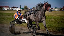 «Ты скачи, моя Рыбачка»: в Челябинской области нашли самую быструю лошадь
