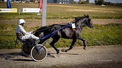 «Ты скачи, моя Рыбачка»: в Челябинской области нашли самую быструю лошадь