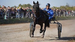 «Ты скачи, моя Рыбачка»: в Челябинской области нашли самую быструю лошадь