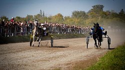«Ты скачи, моя Рыбачка»: в Челябинской области нашли самую быструю лошадь