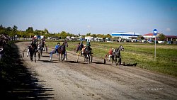 «Ты скачи, моя Рыбачка»: в Челябинской области нашли самую быструю лошадь