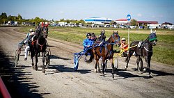 «Ты скачи, моя Рыбачка»: в Челябинской области нашли самую быструю лошадь