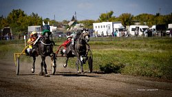 «Ты скачи, моя Рыбачка»: в Челябинской области нашли самую быструю лошадь