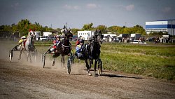 «Ты скачи, моя Рыбачка»: в Челябинской области нашли самую быструю лошадь