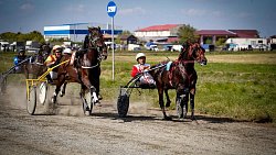 «Ты скачи, моя Рыбачка»: в Челябинской области нашли самую быструю лошадь