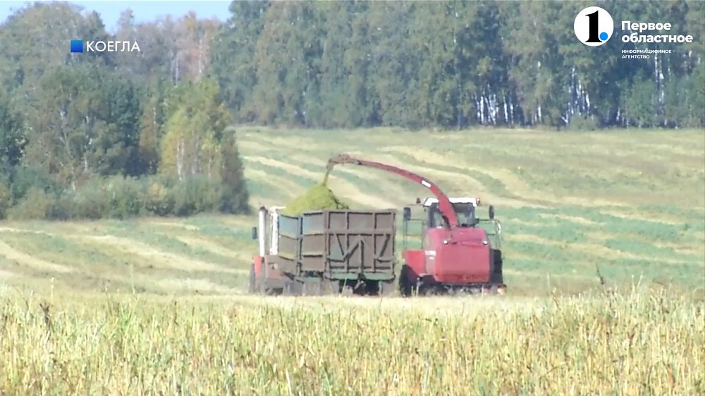 Что будет с урожаем в регионе?