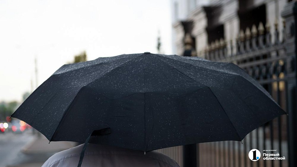 Теплую погоду с небольшими дождями прогнозируют в Челябинской области 19 сентября