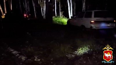 Пожилые грибники из Южноуральска заблудились в лесу