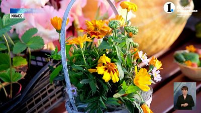 В Миассе подвели итоги дачного сезона!