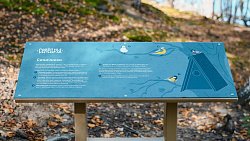 Идеи благоустройства Карабаша выиграли всероссийский конкурс лучших проектов комфортной городской среды