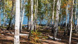 Идеи благоустройства Карабаша выиграли всероссийский конкурс лучших проектов комфортной городской среды