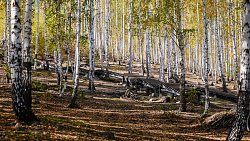 Идеи благоустройства Карабаша выиграли всероссийский конкурс лучших проектов комфортной городской среды