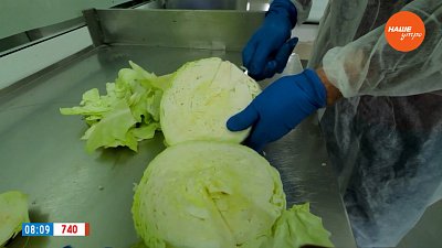 Отправляемся в село Шумово в рубрике «Из города — в деревню»