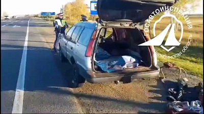 В Троицком районе остановили машину с тушами диких животных