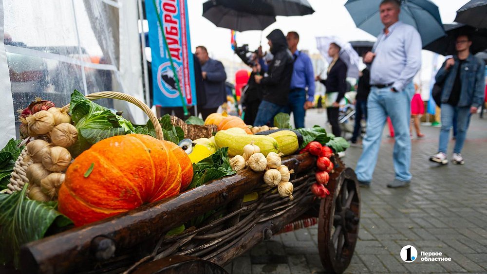 Аграрии Челябинской области получат господдержку