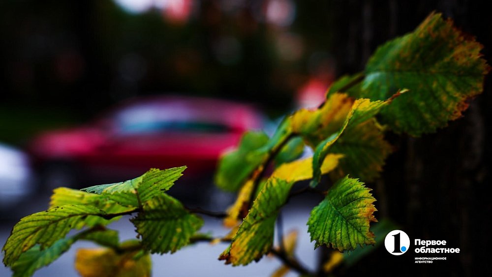 Челябинский фотограф рассказал, почему не стоит делать снимки в полдень