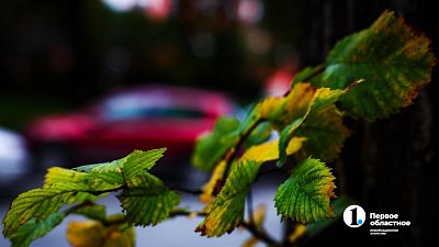Челябинский фотограф рассказал, почему не стоит делать снимки в полдень