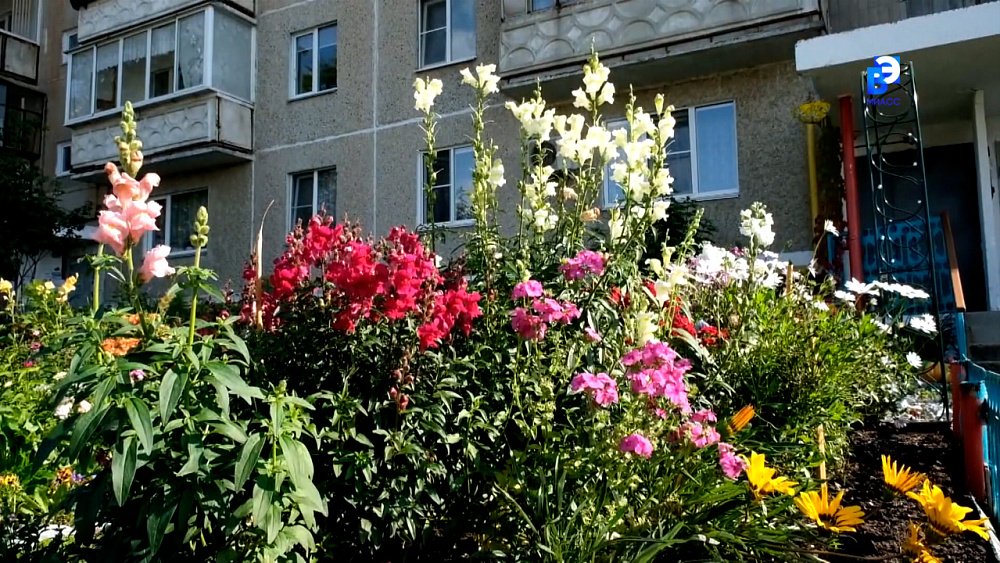 Конкурс определил самые цветущие дворы Миасса