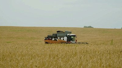 В Челябинской области активно идет уборочная кампания