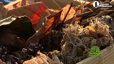 Домики для полезных насекомых