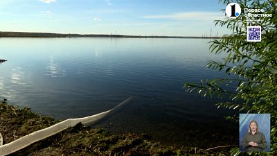 В Шершнёвское водохранилище выпустили мальков