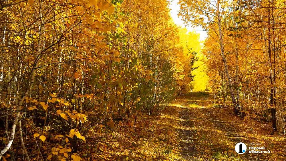 Бабье лето в Челябинской области подходит к концу