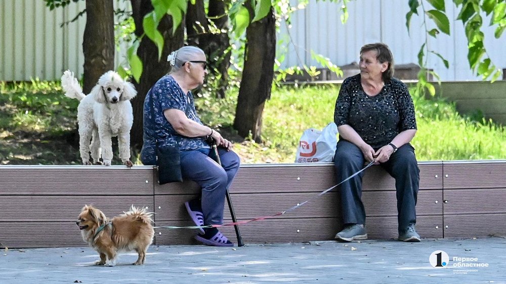 Чем заняться в Челябинске пенсионеру, когда закончился огород