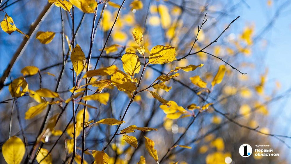 В Челябинской области резко похолодает 2 октября