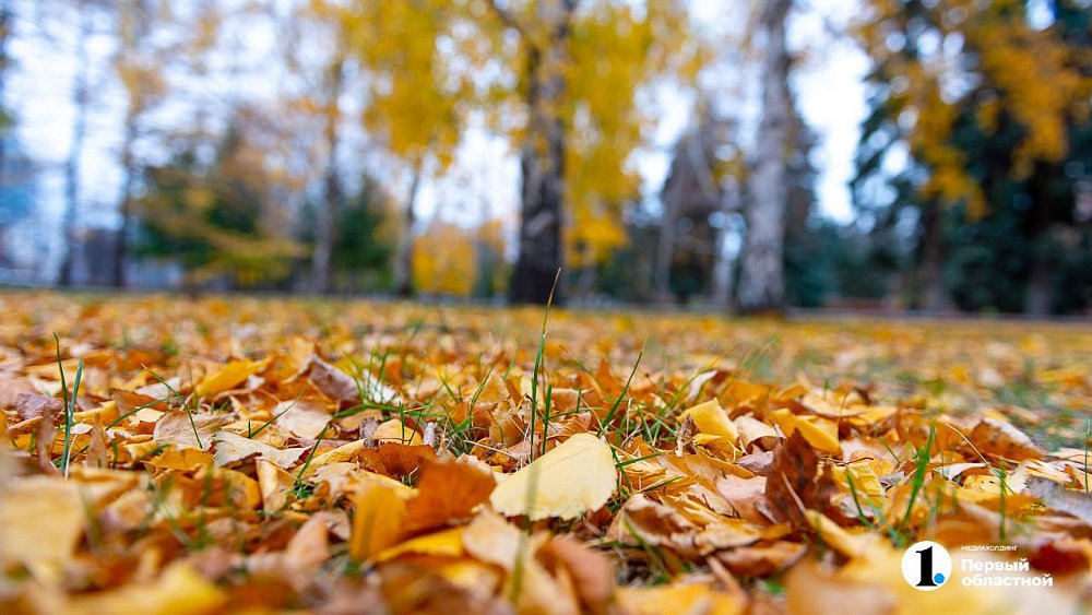 Синоптики рассказали, каким в Челябинской области будет октябрь
