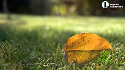 Перечень садовых хлопот на октябрь