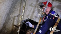 Все дома Челябинска должны подключить к отоплению до 8 октября